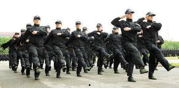 营口辅警最新爆料,揭秘背后真相与内幕 第1张 营口辅警最新爆料,揭秘背后真相与内幕 第1张