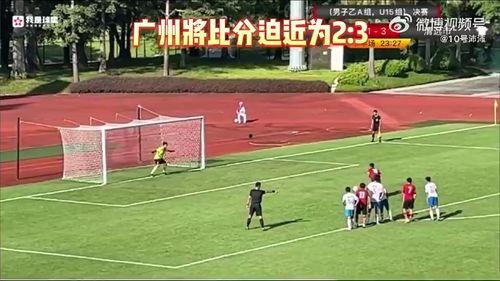 选手爆料假球视频大全集,选手爆料假球视频大全集深度解析